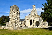 Frankreich, Oise, Fontaine Chaalis, die Zisterzienserabtei von Chaalis und ihre mittelalterlichen Ruinen, die zum Museum Jacquemart Andre gehören