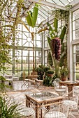 Morocco, Marrakesh, Beldi Country Club, Story: The stunning charm of the Beldi greenhouses