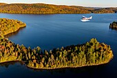 Canada, Province of Quebec, Mauricie region, flight with the company Hydravion Adventure in the Indian summer period, Cessna 206 over the boreal forest in the vicinity of Lake Sacacomie (aerial view)