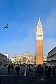 Italien, Venetien, Venedig, das von der UNESCO zum Weltkulturerbe erklärt wurde, das Viertel San Marco, der Markusplatz, der Glockenturm und die Markusbasilika (Basilica di San Marco)