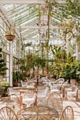 Morocco, Marrakesh, Beldi Country Club, Story: The stunning charm of the Beldi greenhouses