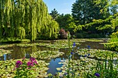 Frankreich, Eure, Giverny, Die Gärten von Claude Monet in Giverny in der Normandie