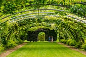 Frankreich, Pas de Calais, Séricourt, Les Jardins de Séricourt, Park von mehr als 4 Hektar, anerkannt als einer der schönsten Gärten Frankreichs, vom Kulturministerium als bemerkenswerter Garten bezeichnet und zum Garten des Jahres 2012 gewählt