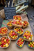 France, Alpes-de-Haute-Provence, Digne-les-Bains, Provencal market Saturday morning, organic tomato stall