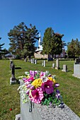 Canada, Province of Quebec, Mauricie region, Saint-Elie-de-Caxton The village of the singer-storyteller Fred Pellerin, the cemetery and the church, grave and flowers