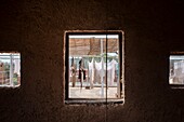 Morocco, Marrakesh, Beldi Country Club, Story: The stunning charm of the Beldi greenhouses