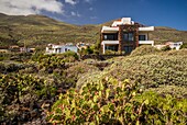 Spain, Canary Islands, El Hierro Island, east coast, Caleta, resort house