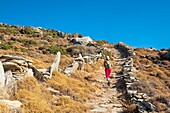 Greece, Cyclades archipelago, Andros island, hike number 8a between Batsi and Aprovatou