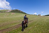 Kirgisistan, Provinz Naryn, Son-Kol-See, 3000 m Höhe, kirgisische Reiter in der Steppe