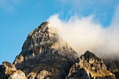 France, Haute Savoie, valley of Abondance, La Chapelle d'Abondance, hunting reserve of the Mont de Grange