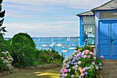 France, Morbihan, Port Navalo, holiday landscape