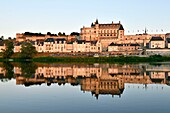 Frankreich, Indre et Loire, Loire-Tal, von der UNESCO zum Weltkulturerbe erklärt, die Loire-Kais und das Schloss von Amboise