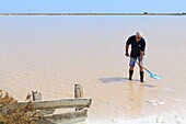 Frankreich, Gard, Petite Camargue, Aigues-Mortes, Marais de Peccais, Salins d'Aigues-Mortes (Salins du Midi), saunier dans un marais salant