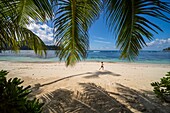 Seychelles, Mahe Island, child running on a white sand beach lined with coconut trees in Baie Lazare