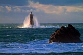 France, Finistere, Porspoder, Landunvez, Saint Laurent peninsula, Côte des Légendes, the Four lighthouse in the storm