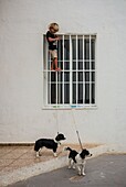 Spain, Canary Islands, Fuerteventura Island, El Cotillo, Fishermans Quarter, young boy with two dogs