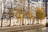 France, Paris, area listed as World Heritage by UNESCO, the banks of Seine river in autumn , Saint Louis Island