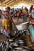 Benin, Cotonou, women in fishmarket