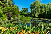 Frankreich, Eure, Giverny, Die Gärten von Claude Monet in Giverny in der Normandie