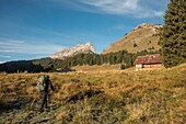 France, Haute Savoie, Bornes massif, Glieres, itinerant trek day 4, to the chalets of Tinnaz and the tip of Sous Dine and Roche Parnal