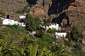 Spanien, Kanarische Inseln, Insel Teneriffa, Masca, traditionelle weiße Häuser in einer Schlucht zwischen Palmen