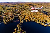 Kanada, Provinz Québec, Region Mauricie, Flug mit der Firma Hydravion Aventure im Altweibersommer, Cessna 206 über dem borealen Wald (Luftaufnahme)