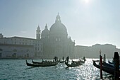 Italien, Venetien, Venedig, von der UNESCO zum Weltkulturerbe erklärt, der Canal Grande, die Punta della Dogana und Santa Maria della Salute