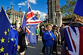 Vereinigtes Königreich, London, City of Westminster, Protest gegen Brexit im britischen Parlament, Europaflagge