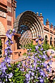 France, Haute Savoie, Rumilly, Vaulx, secret gardens, remarkable garden label, lime mortar lace in an arch perspective and campanula flowers