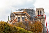 Frankreich, Paris, Ile de la Cite, Kathedrale Notre Dame im Herbst