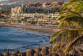 Spanien, Kanarische Inseln, Insel Teneriffa, Playa de Las Americas, Playa de Torviscas, Strand