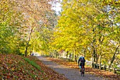 Frankreich, Val de Marne, Joinville le Pont, die Ufer der Marne im Herbst