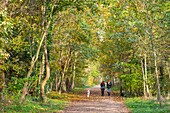 France, Paris, the Bois de Boulogne in autumn