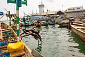 Benin, Cotonou, children playing in fishmarket