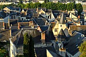 Frankreich, Indre et Loire, Loiretal, von der UNESCO zum Weltkulturerbe erklärt, Chinon