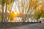 France, Paris, area listed as World Heritage by UNESCO, the banks of Seine river autumn