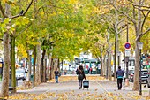 France, Paris, boulevard de Charonne, the alley in autumn