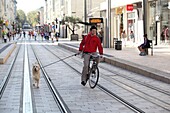 Frankreich, Indre et Loire, Loire-Tal, von der UNESCO zum Weltkulturerbe erklärt, Tours, Hauptstraße