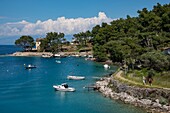 Croatia, County of Primorje-Gorski Kotar, Kvarner bay, Losinj island, near the village of Veli, the cove of the dog beach on the Adriatic Sea