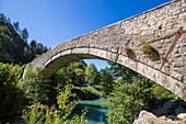 Frankreich, Alpes-de-Haute-Provence, Regionaler Naturpark Verdon, Castellane, die Roc-Brücke über den Fluss Verdon