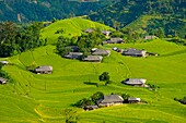 Vietnam, Ha Giang, Hoang Su Phi, a La Chi erthnic group village among rice fields in terrace