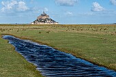 Frankreich, Manche, Bucht von Mont Saint Michel, die von der UNESCO zum Weltkulturerbe erklärt wurde, Abtei von Mont Saint Michel, Salzwiese bei Flut