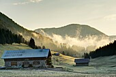 France, Haute Savoie, Plateau des Glieres massif des Bornes, itinerant trek on day 3, grazing morning light over the chalets and valley of the Mandroliere