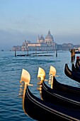 Italien, Venetien, Venedig, von der UNESCO zum Weltkulturerbe erklärt, der Canal Grande, die Punta della Dogana und Santa Maria della Salute