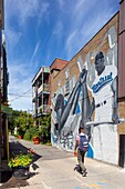 Canada, Quebec province, Montreal, the Villeray district, green alley La Sinueuse, the mural in tribute to Jackie Robinson, the first black professional baseball player in the Major Leagues