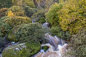 Frankreich, Lozere, Fluss Rimeize in Moulin de Rouchat, Margeride