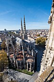 France, Gironde, Bordeaux, the newly restored Saint Andre cathedral seen from the top of the Pey-Berland tower