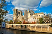 France, Paris, area listed as World Heritage by UNESCO, the banks of Seine river the Ile de la Cite, the Notre Dame Cathedral in autumn