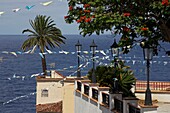 Spain, Canary Islands, Palma Island, San Andrès, pennants flying in the wind on a tree-lined terrace in the village, overlooking the ocean