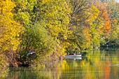 Frankreich, Val de Marne, Nogent sur Marne, die Ufer der Marne im Herbst